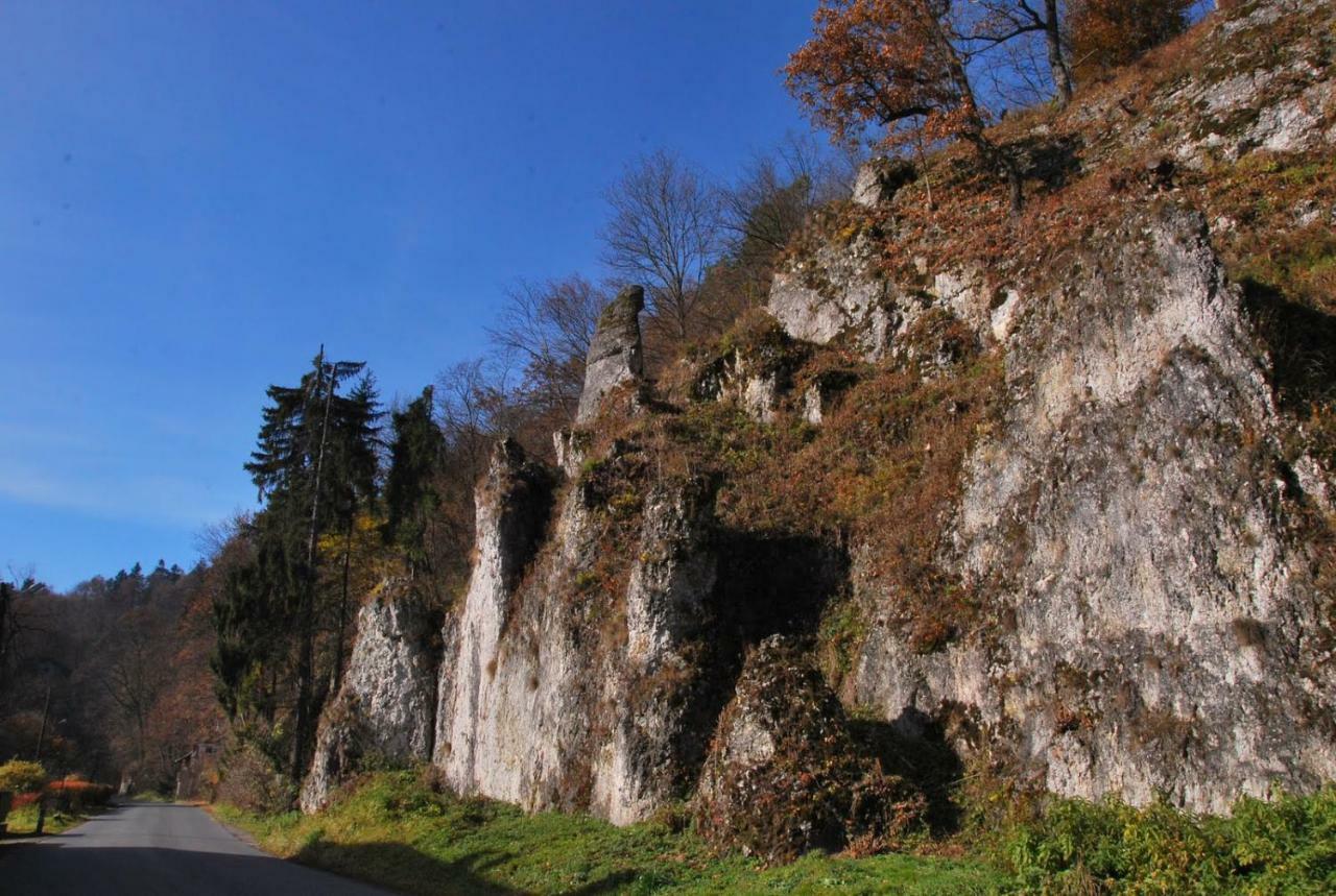 Pokoje Goscinne U Grazyny Ojcow Exteriér fotografie