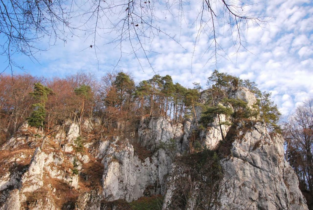 Pokoje Goscinne U Grazyny Ojcow Exteriér fotografie