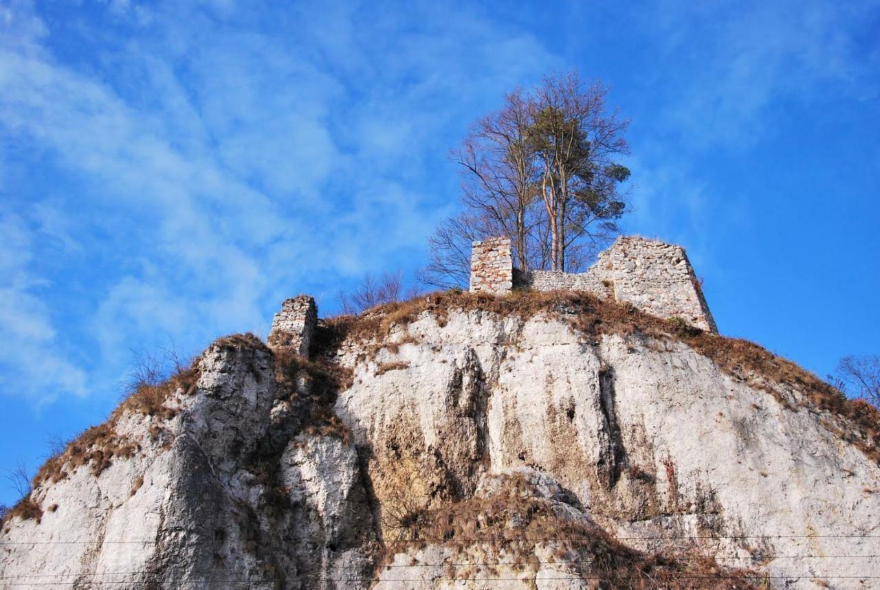 Pokoje Goscinne U Grazyny Ojcow Exteriér fotografie