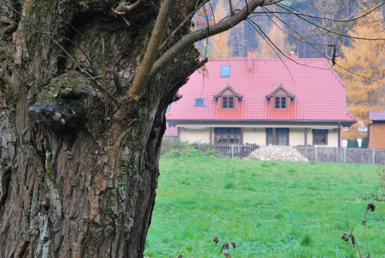 Pokoje Goscinne U Grazyny Ojcow Exteriér fotografie