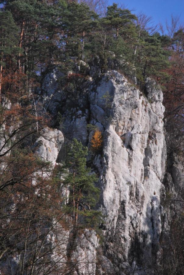 Pokoje Goscinne U Grazyny Ojcow Exteriér fotografie