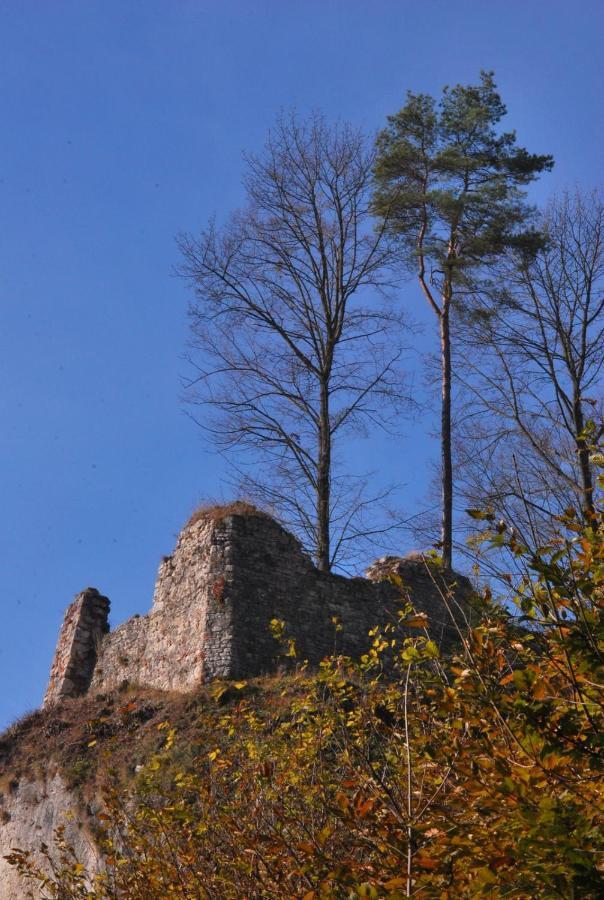 Pokoje Goscinne U Grazyny Ojcow Exteriér fotografie