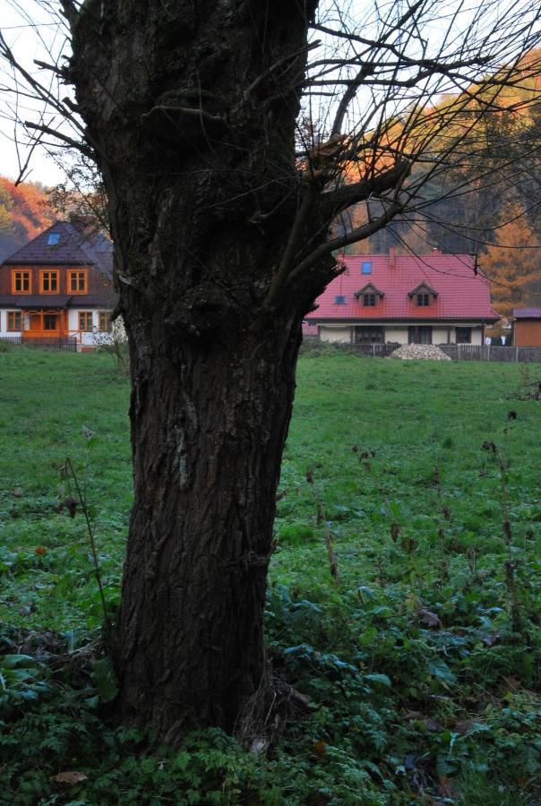 Pokoje Goscinne U Grazyny Ojcow Exteriér fotografie