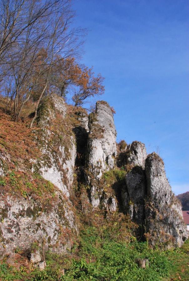 Pokoje Goscinne U Grazyny Ojcow Exteriér fotografie