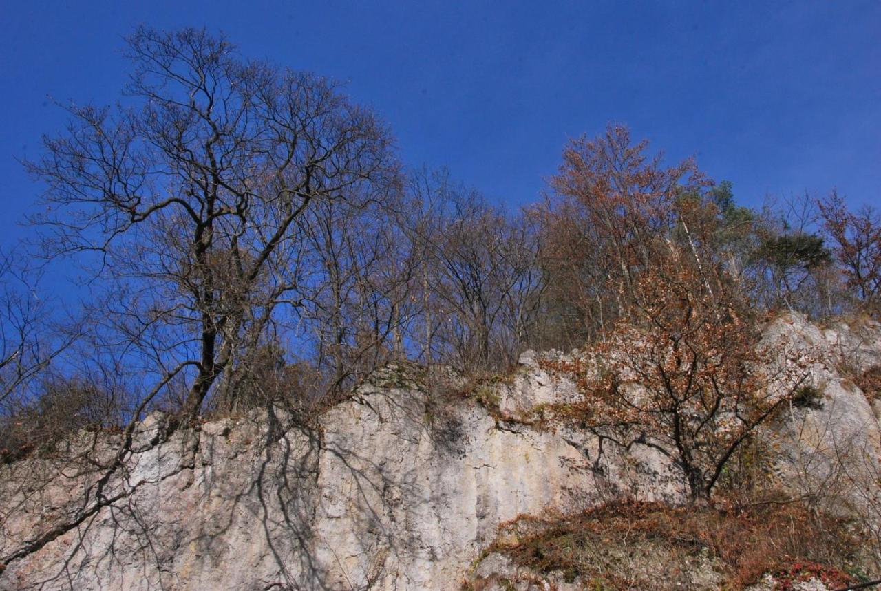 Pokoje Goscinne U Grazyny Ojcow Exteriér fotografie