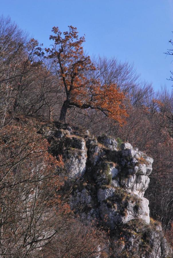 Pokoje Goscinne U Grazyny Ojcow Exteriér fotografie