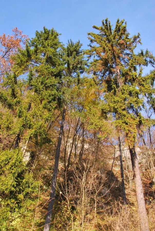 Pokoje Goscinne U Grazyny Ojcow Exteriér fotografie