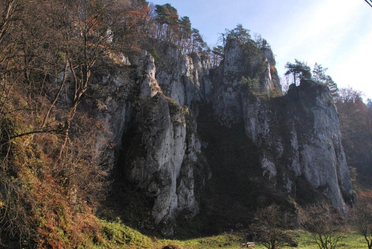 Pokoje Goscinne U Grazyny Ojcow Exteriér fotografie