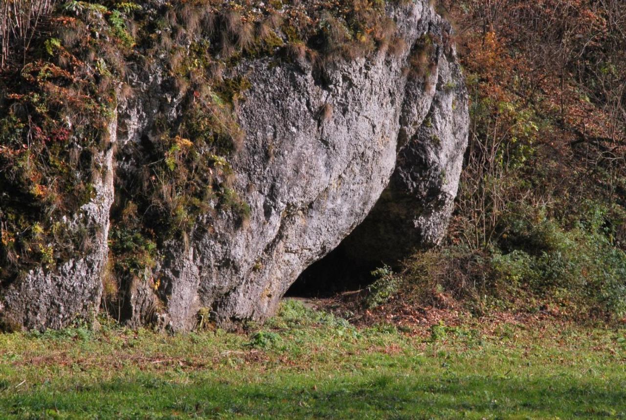 Pokoje Goscinne U Grazyny Ojcow Exteriér fotografie