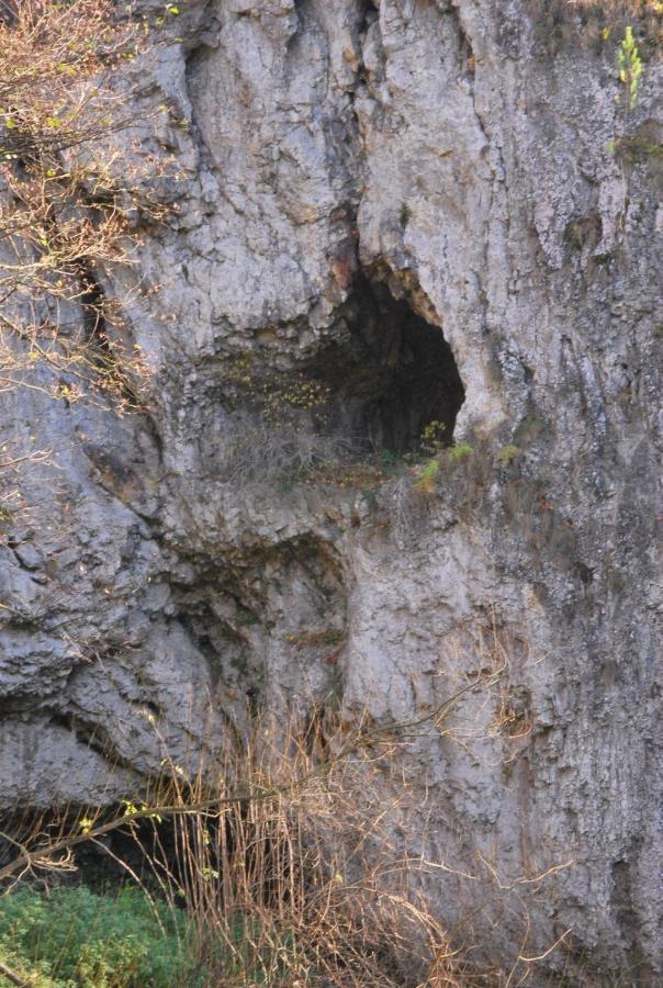 Pokoje Goscinne U Grazyny Ojcow Exteriér fotografie