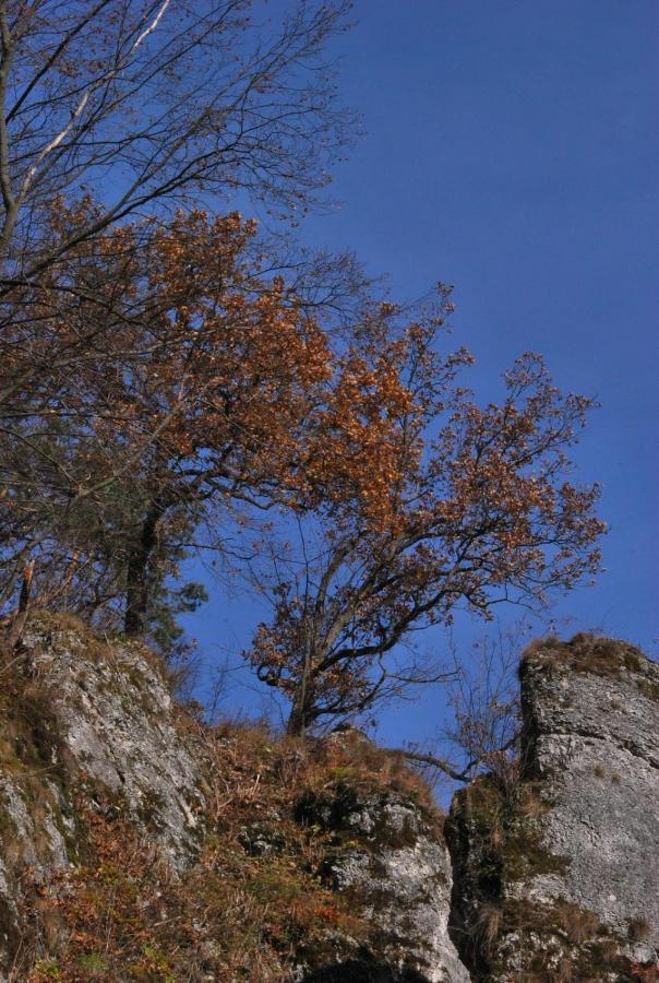 Pokoje Goscinne U Grazyny Ojcow Exteriér fotografie