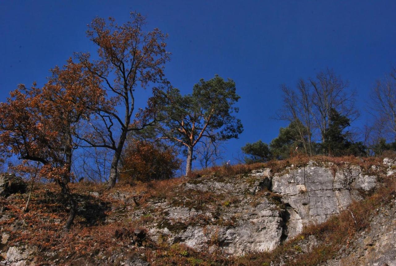 Pokoje Goscinne U Grazyny Ojcow Exteriér fotografie