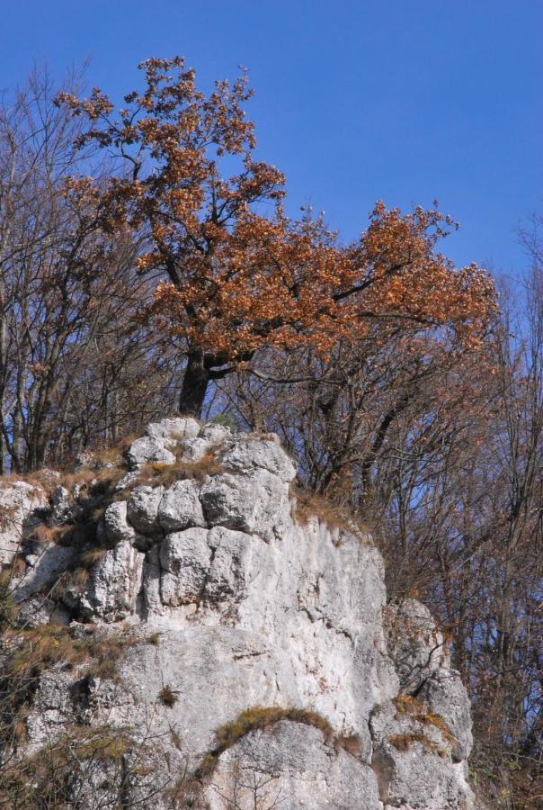 Pokoje Goscinne U Grazyny Ojcow Exteriér fotografie