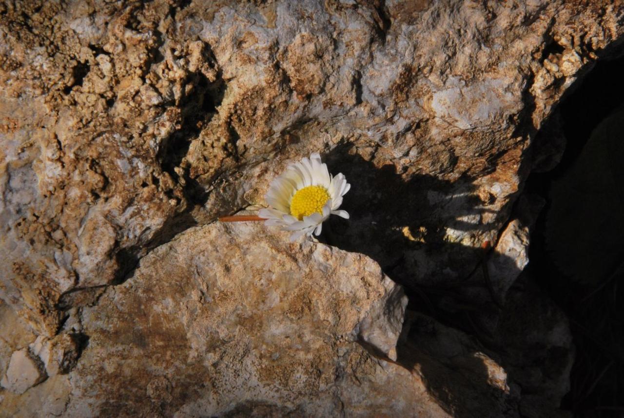 Pokoje Goscinne U Grazyny Ojcow Exteriér fotografie