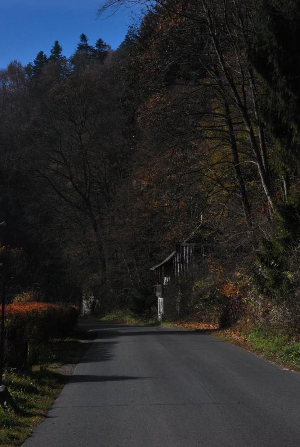 Pokoje Goscinne U Grazyny Ojcow Exteriér fotografie