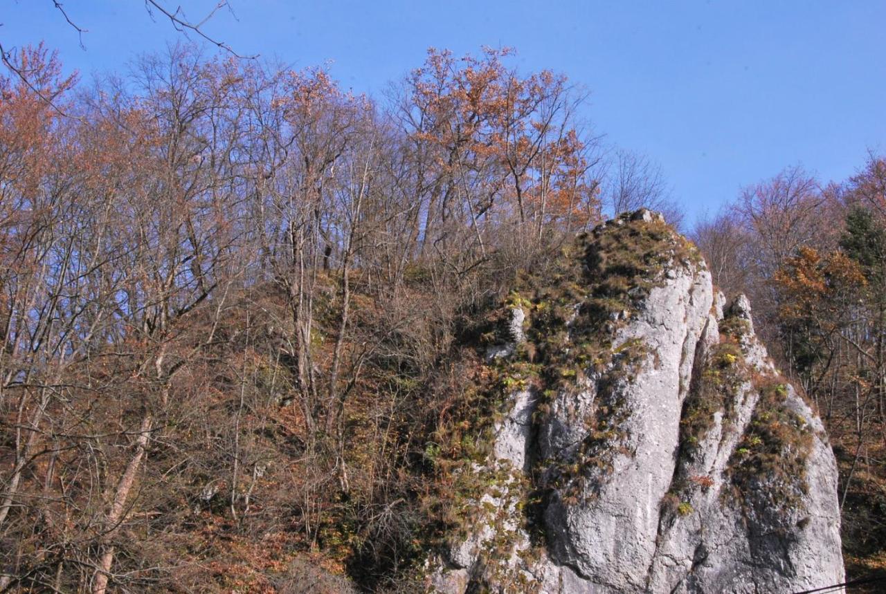 Pokoje Goscinne U Grazyny Ojcow Exteriér fotografie