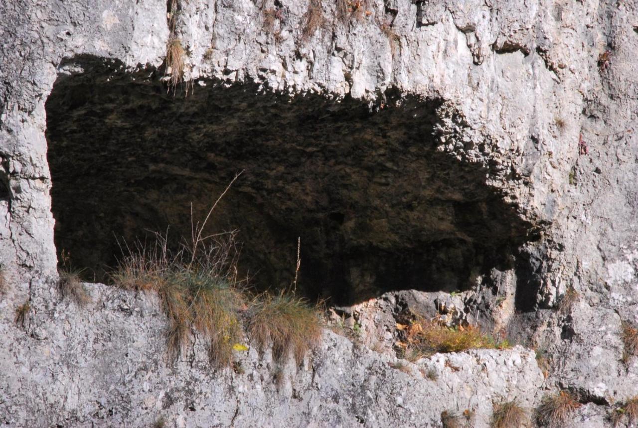 Pokoje Goscinne U Grazyny Ojcow Exteriér fotografie