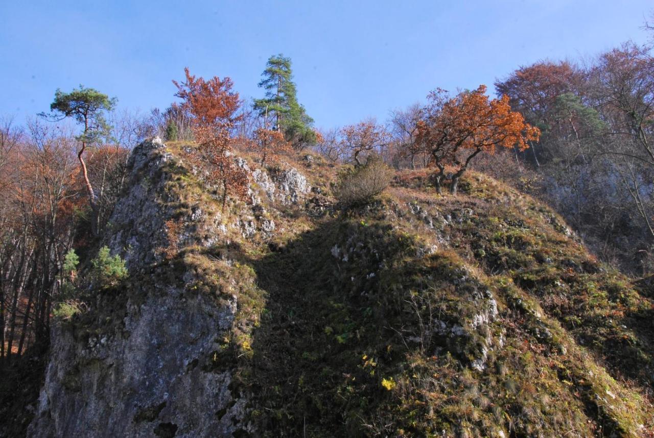 Pokoje Goscinne U Grazyny Ojcow Exteriér fotografie